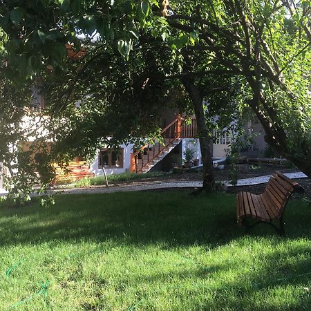 Guest House Kartuli Suli Telavi Ngoại thất bức ảnh